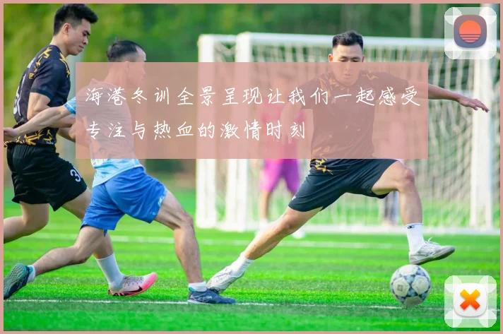 海港冬训全景呈现让我们一起感受专注与热血的激情时刻