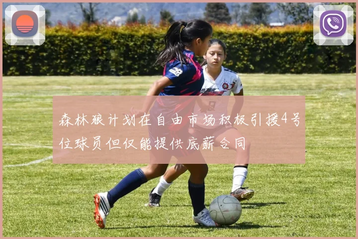森林狼计划在自由市场积极引援4号位球员但仅能提供底薪合同