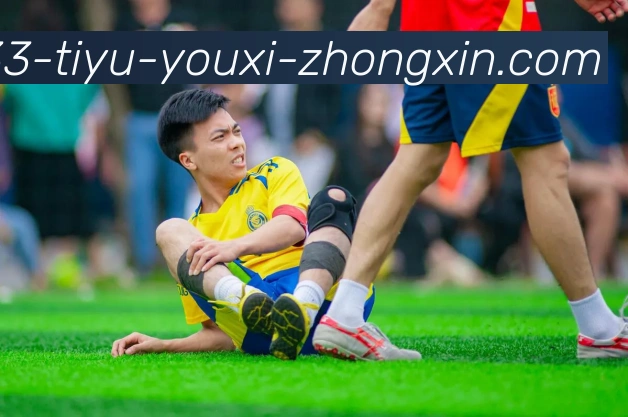 奖项证书